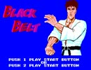 【TAS】Black Belt（日本版：北斗の拳）