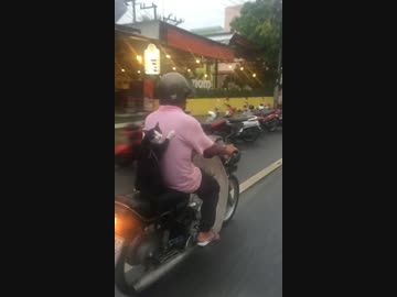 走行中のバイクで飼い主の背中に密着するネコ