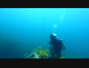 日本海でダイビング #5