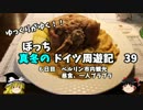 【ゆっくり】ドイツ周遊記　３９　ベルリン市内観光　昼食他