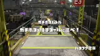 【S+99】生存系96デコのガチホコ講座 ハコフグ編【字幕解説】
