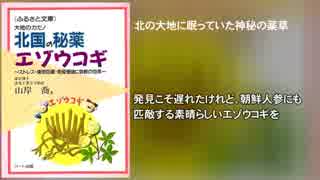 北国の秘薬エゾウコギ～ストレス・疲労回復・免疫増強に抜群の効果