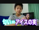 ホモと学ぶ大物youtuberめちゃウマ！アイスの実ぶどう グミ 食品レビュー！