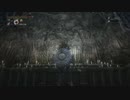 10週目全ボス全NPC狩りの夜、ゆっくり解説17