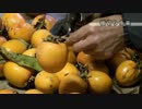 【疑似m@s】SMOKY　FRUITS（柿）