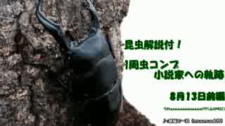 昆虫解説付!1周虫コンプ小説家への軌跡…【ぼくなつPSP】8月13日前編