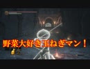 【ダークソウル３】野菜帝国の王と行く初見攻略　part58【実況】