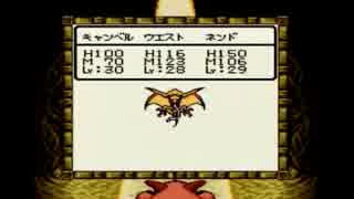 （縛りプレイ実況）ドラゴンクエストモンスターズ2 034