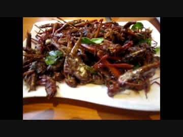 リトルバンコックのイナゴの唐揚げとタイ式牛肉臓物の煮込みスープ