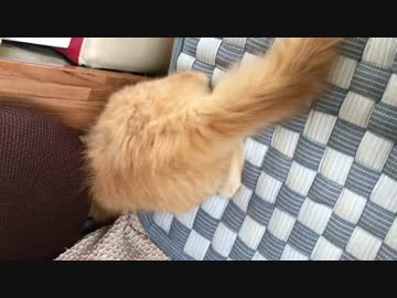 隙間好き