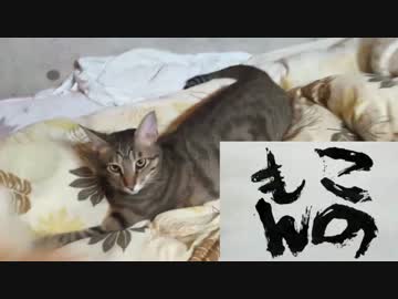 ばらかもんに出てくる【このもん】を作ろう！！