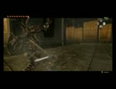 【ゼルダ】イカプレイヤーが二つの世界(と2人の姫様)を救う旅 Part.56