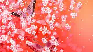 Doo wop　ASIAN2
