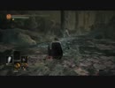【ダークソウルⅢ】リアル持たざる者(無職)だけど騎士でやっていく ♯24