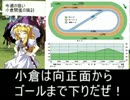 魔理沙の居酒屋競馬予想　254　8月1週　「小倉記念」