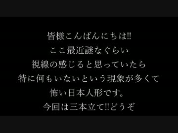 【ゆっ怖】ゆっくり怖い話・その㉘