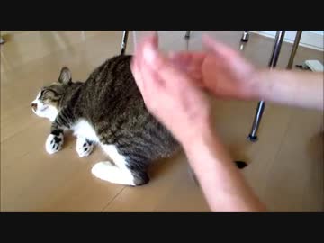 朝と昼マッサージしてみた