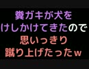 糞ガキが犬をけしかけてきたので、思いっきり蹴り上げたったｗｗｗ