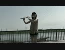 【ちぇるり】 melody in the sky 【フルートで吹いてみた】
