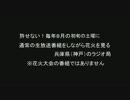 通常のラジオ生放送中に花火を見るのが許せん！（2016年編）