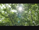 【あんスタ】アドニスくんのオカリナ～UNDEADを添えて～