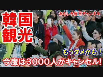【韓国、これは大ピンチ】　中国人ツアー客が来なくなったニダ！