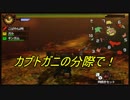 【実況】G級の頂点へ、負けられない戦いが・・・そこにある！　＃８３