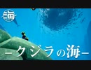 ちょっと海行きません？ part.2【実況】