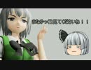 【ゆっくり実況】饅頭式戦車道～ゆっくり＆パンツァー～その20.5【WoT】