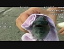 うんこちゃんと布団ちゃんの釣り配信 12/15【2016/08/09】