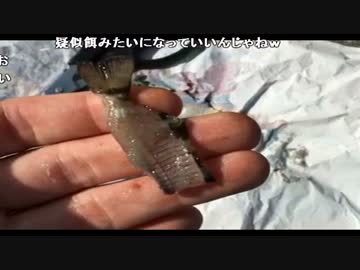 うんこちゃんと布団ちゃんの釣り配信 14/15【2016/08/09】