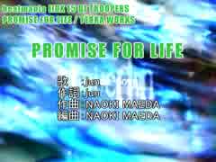 【ニコカラ】PROMISE FOR LIFE【off vocal】