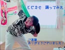 【ぼっち】ヒビカセ 踊ってみた【キュアずっきーに】