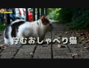 佇むおしゃべり猫