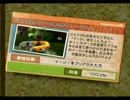 1人でファミリーフィッシング　12日目