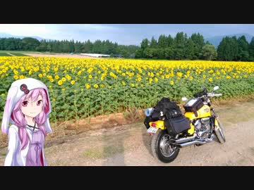 夏休みなので無計画に走るよ！2日目『新潟』【結月ゆかり車載】