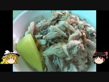 【ゆっくり】チキンの旅日誌　台湾グルメ旅行Ⅱ⑨　嘉義編