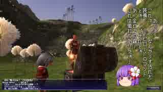 【FF11】新規・復帰者向けＦＦXIのトリセツのようなもの66【FFXI】