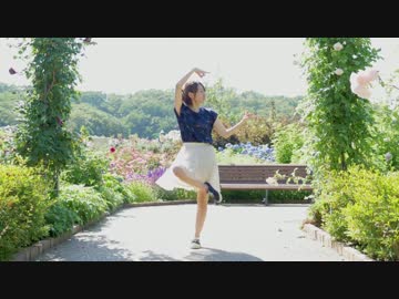 【まひる✿】さようなら、花泥棒さん【踊ってみた】