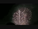 第28回なにわ淀川花火大会 その１
