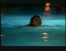 ピートとピートの冒険#30 SPLASHDOWN! 後半