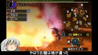 【MHX】回避好きガンナーの狩猟録【ゆっくり】　第9項
