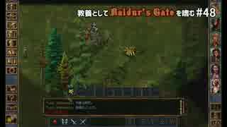 教養としてBaldur's Gateを嗜む #48