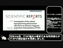 STAP細胞は本当に日本で再現されたのか検証してみた