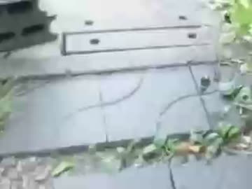 aiueo700、ご尊顔を遂に開示される