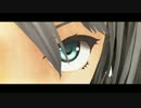 【第17回MMD杯本選】暴走する狂気の瞳【東方MMD】