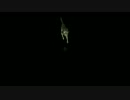 【Skyrim】VIGILANT地味プレイ#11【字幕】