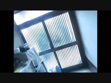 ただの野良猫が集団ストーカーに見えてしまう糖質おじさん.aiueo700