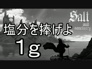 【ゆっくり】塩分を捧げよ 1g【Salt and Sanctuary】