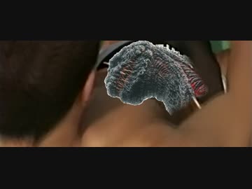 チン・ポジラ.mp4